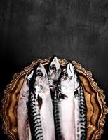 Fresh whole mackerel on a copper plate, top view, empty space at the top photo