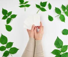 female hand holding a stack of white empty paper business cards and fresh green leaves of raspberry photo