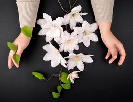 bouquet of white flowers of clematis and two female hands photo