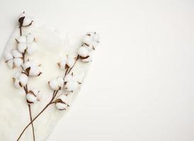 piece of white gauze and a sprig with white cotton flowers on the table, top view, copy space photo