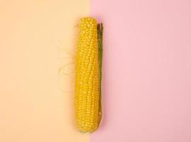 one ripe yellow corn cob, top view photo