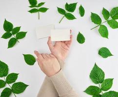 female hand holding a stack of white empty paper business cards and fresh green leaves photo
