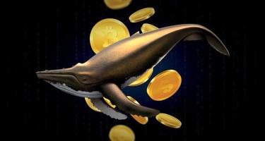 Whale Trading Realistic Background vector