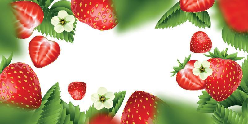 Strawberry Vector Art, Icons, and Graphics for Free Download