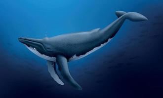 Whale At Depth Realistic Composition vector