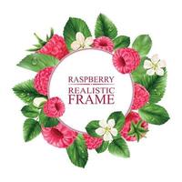 Raspberry Realistic Round Frame vector