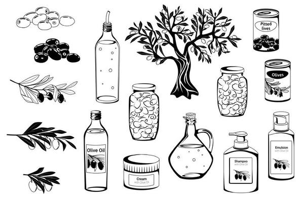 Olive Vector Art, Icons, and Graphics for Free Download