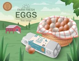 Eggs Package Mockup Poster vector