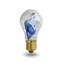 3d rendering of new Nigerian Naira note inside transparent light bulb isolated on transparent background, creative thinking. Making money by solving problem. idea concept png