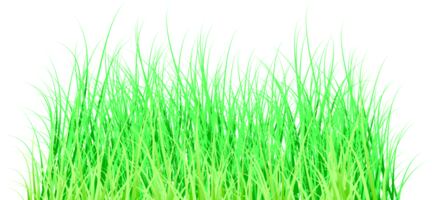 grünes Gras png