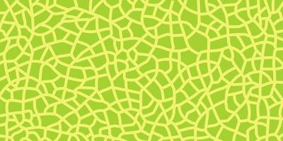 Green melon texture for pattern, vector art