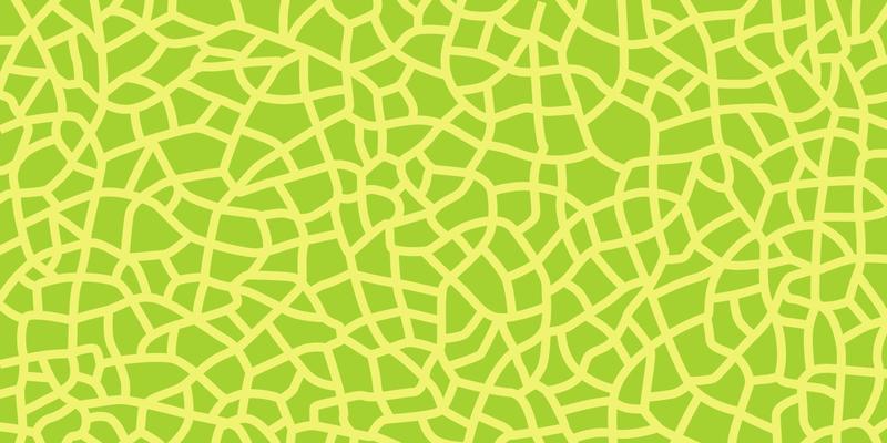 Green melon texture for pattern, vector art