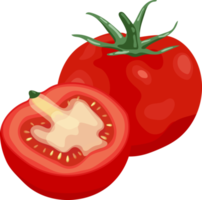 elemento de ilustración de tomate png