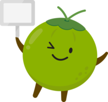 Coconut Cartoon Character png