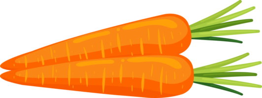 Zanahoria ilustración elemento png
