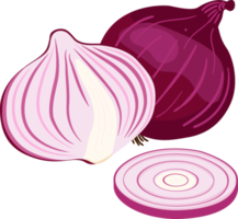 rood uien en geel uien illustratie element png