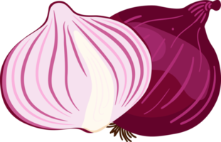 Red Onions and Yellow Onions illustration element png