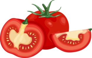 Élément d'illustration de tomate png