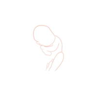 Cute Infant Outlined png