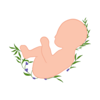bebis med grön löv png