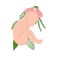Neugeborene Baby mit Blumen png