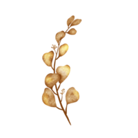 dourado eucalipto folhas png