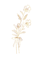 golden Eukalyptus Blatt Kunst Linie png