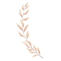 acquerello eucalipto le foglie Marrone png