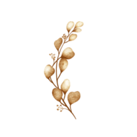 golden Eukalyptus Blätter png