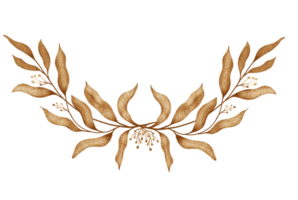 golden Eukalyptus Blätter png