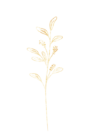 dourado eucalipto folha arte linha png