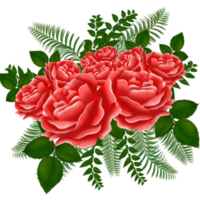 schön Rose Aquarell handgemalt isoliert auf Weiß Hintergrund. png