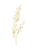 dourado eucalipto folha arte linha png
