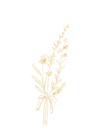 golden Eukalyptus Blatt Kunst Linie png