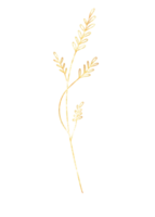 golden Eukalyptus Blatt Kunst Linie png