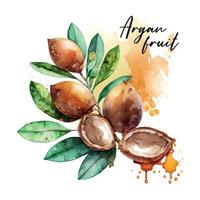 Branch of the argan tree, can be used as a design element for the decoration of cosmetic or food products using argan oil. Hand-drawn watercolor sketch vector