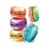 Watercolor image of blue macaroon decorated with bright pink daisy flowers isolated on white background. Hand drawn illustration of popular crunchy dessert for cafe decoration