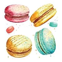 Watercolor image of blue macaroon decorated with bright pink daisy flowers isolated on white background. Hand drawn illustration of popular crunchy dessert for cafe decoration vector