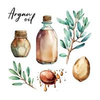 Branch of the argan tree, can be used as a design element for the decoration of cosmetic or food products using argan oil. Hand-drawn watercolor sketch vector