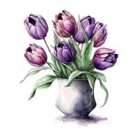 Bouquet of flowers on an isolated white background. Watercolor illustrations. Purple tulips vector