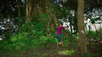 un balinés mujer en un rosado vestir y verde falda bailando con un verde bufanda dentro el selva con un emocionado expresión Entre el verde arbustos video