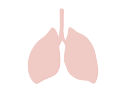 conjunto de pulmón gráfico representación de infeccioso neumonía png