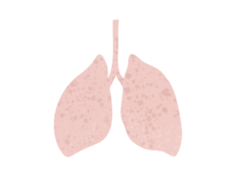 conjunto de pulmón gráfico representación de infeccioso neumonía png