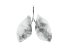 set of Lung Graphical representation of infectious pneumonia png