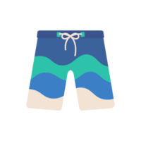 surfen broek. kleding voor water activiteiten in surfen. zomer kust ontspanning png
