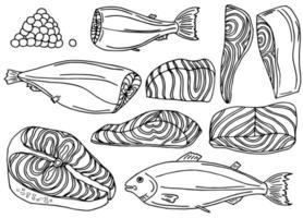 vector seafood illustration of salmon fish.