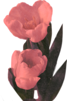 Rosa realista vintage flor. floral botânico imprimível estético elementos. Cortar fora scrapbooking adesivos para Casamento convites, cadernos, diários, cumprimento cartões, invólucro papel png