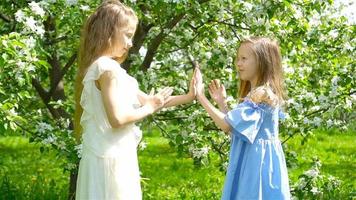 Adorable little girls in blooming apple tree garden on spring day video