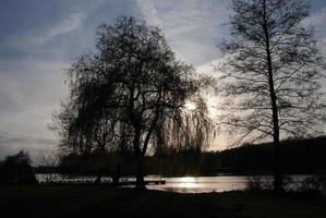 pequeño lago en Alemania foto