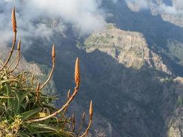 la isla de madeira foto